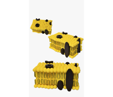 Обʼємна модель. Будова мембрани клітини