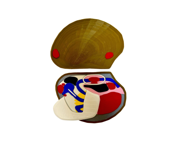 Обʼємна модель. Беззубка