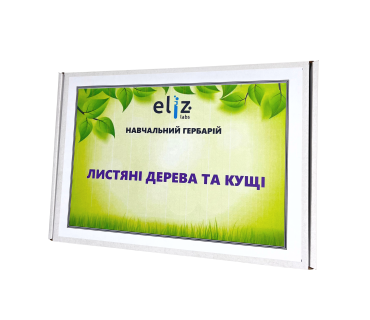 Гербарій «Листяні дерева та кущі»