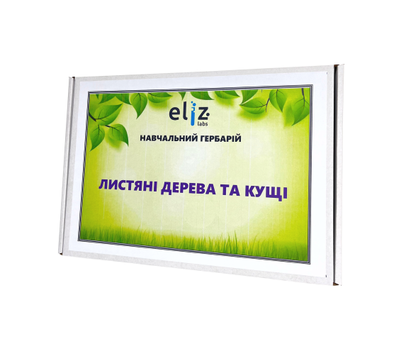 Гербарії. Листяні дерева та кущі