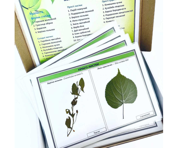 Гербарій «Морфологія органів рослин»