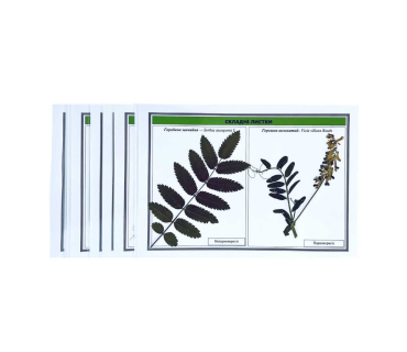  Гербарій "Загальна біологія"