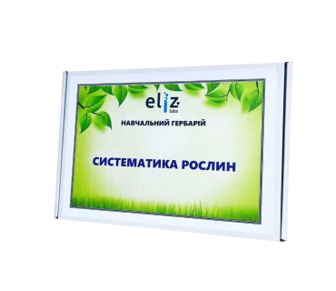 Гербарій. Систематика рослин