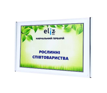 Гербарій «Рослинні співтовариства»