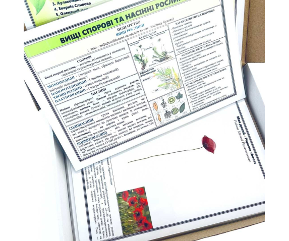 Гербарій “Систематика рослин. Вищі спорові та насінні рослини”