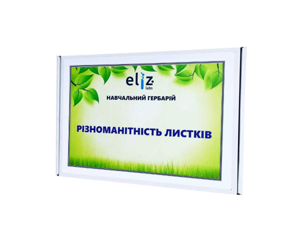 Гербарій "Різноманітність листків"