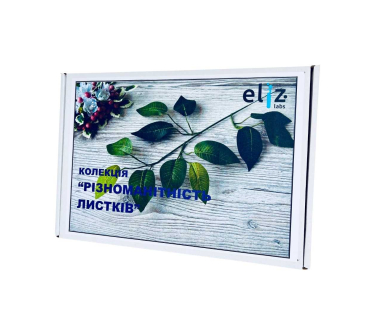 Колекція. Різноманітність листя 