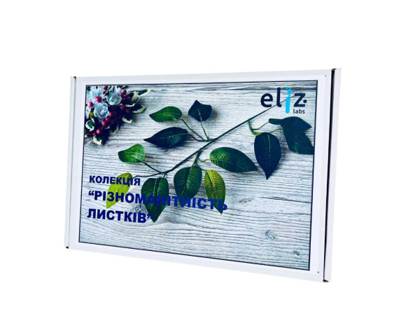 Колекція. Різноманітність листя 