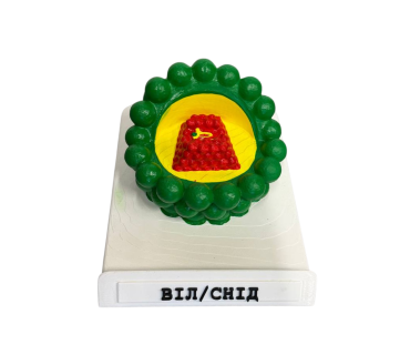 Объемная модель. Вируса СПИДа (AIDS) тип 2
