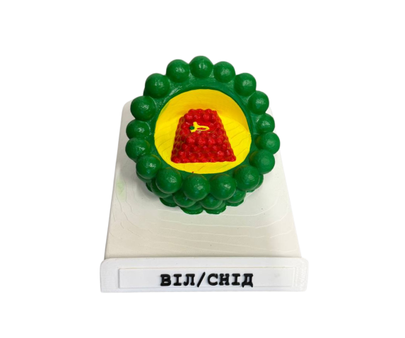 Обʼємна модель. Вірусу СНІДу (AIDS) тип 2