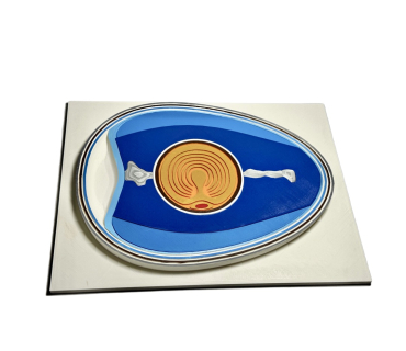 Барельєфна модель. Будова яйця птаха