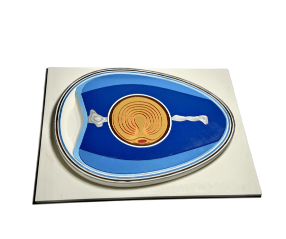 Барельєфна модель. Будова яйця птаха