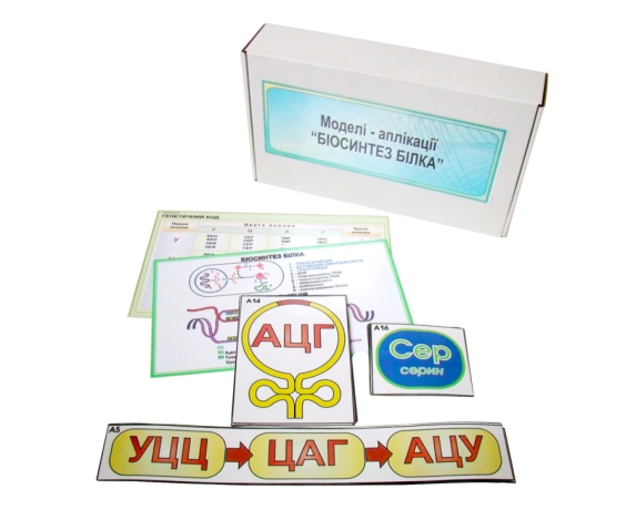 Друкований посібник "Біосинтез білка"