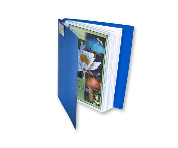 Гербарій «Основні групи рослин»