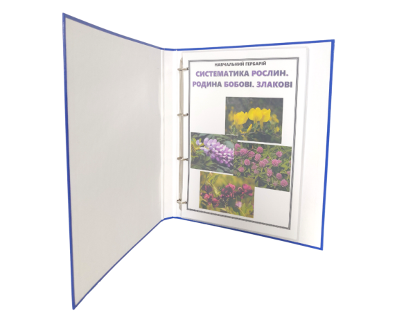 Гербарії. Злаки 