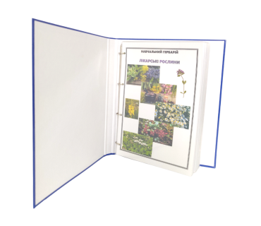 Гербарій «Лікарські рослини»