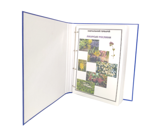 Гербарій «Лікарські рослини»
