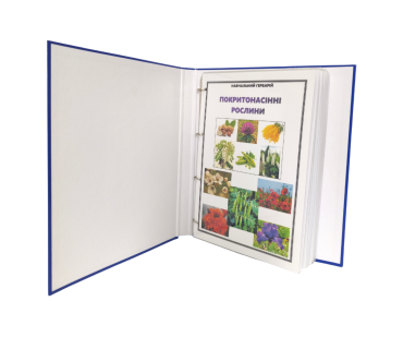 Гербарій «Відділ Покритонасінні (за родинами)...