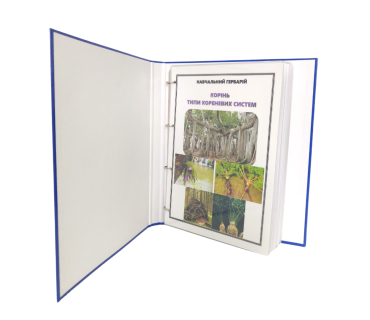 Гербарій «Рослини з різними типами кореневих систем»