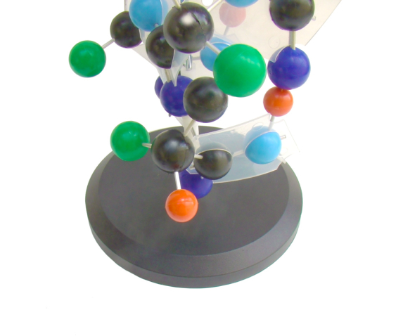 Обʼємна модель. Структура білка тип 1