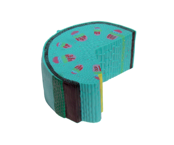 Обʼємна модель. Будова стебла тип 2