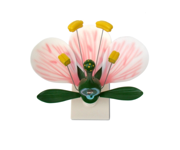 Обʼємна модель. Квітки представників різних родин тип 1