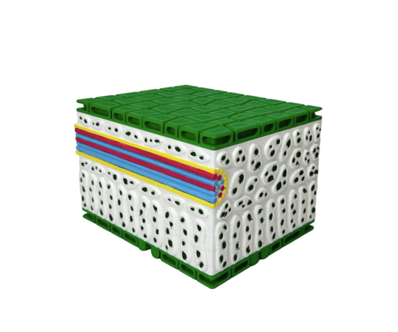 Обʼємна модель. Будова листка