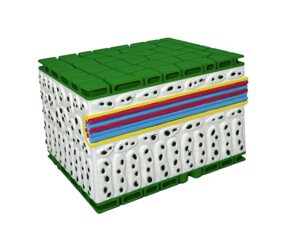 Обʼємна модель. Будова листка