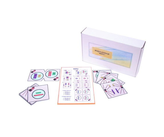 Друкований посібник "Схема мейозу"