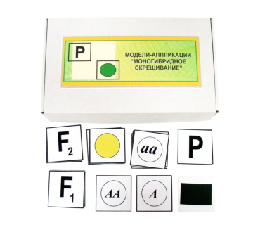 Друкований посібник "Моногібридне схрещування"