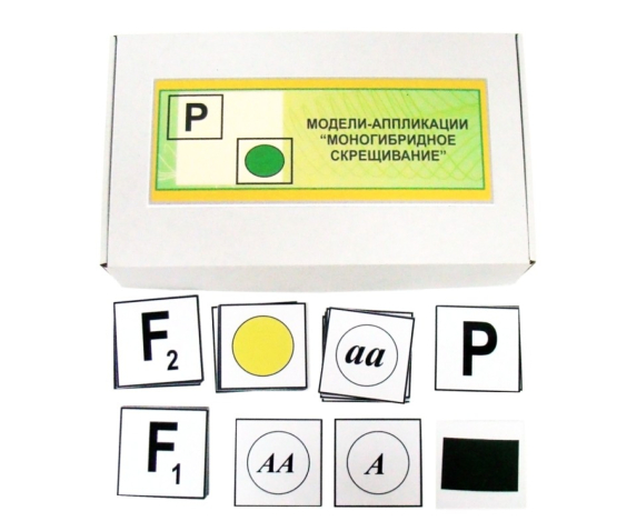 Друкований посібник "Моногібридне схрещування"