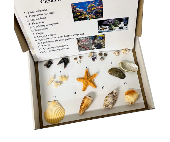 Колекція «Морське дно»