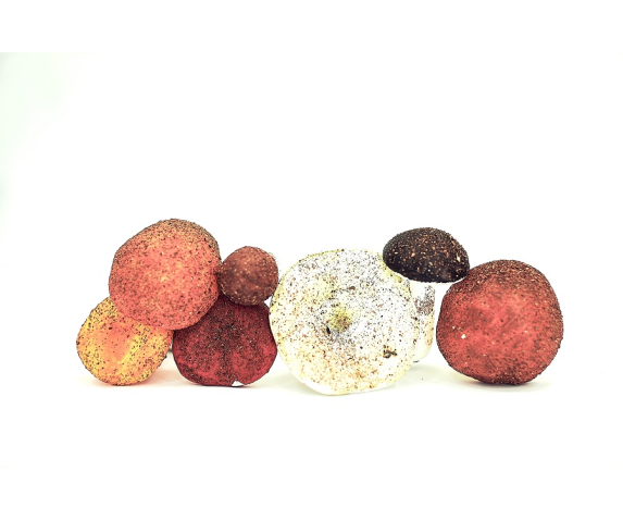 Муляжі грибів