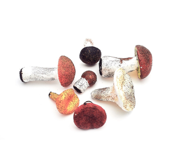 Муляжі грибів