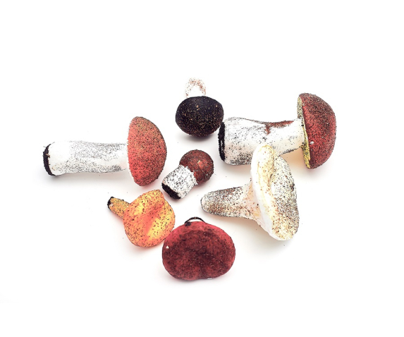 Муляжі грибів