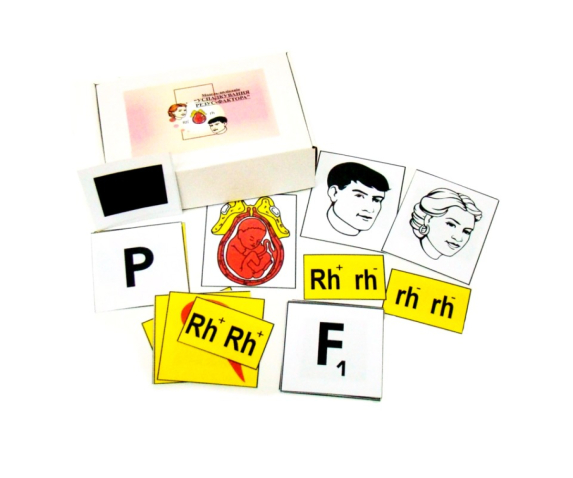 Друкований посібник "Успадкування резус-фактора"