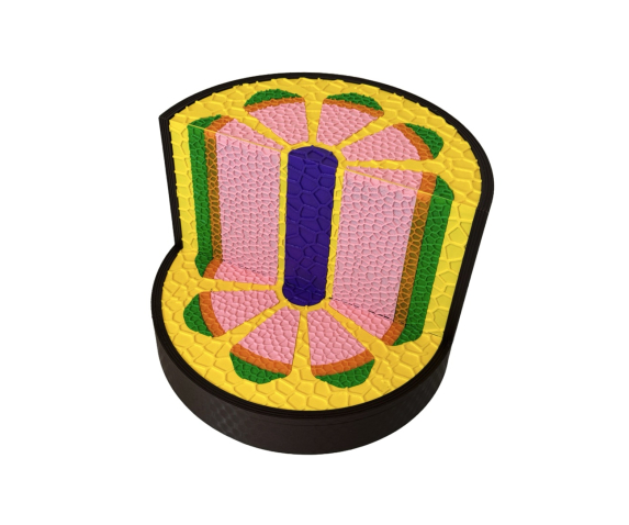 Обʼємна модель. Будова стебла