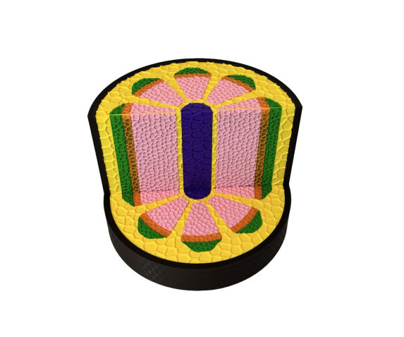 Обʼємна модель. Будова стебла