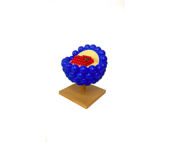 Обʼємна модель. Вірусу СНІДу (AIDS) тип 2