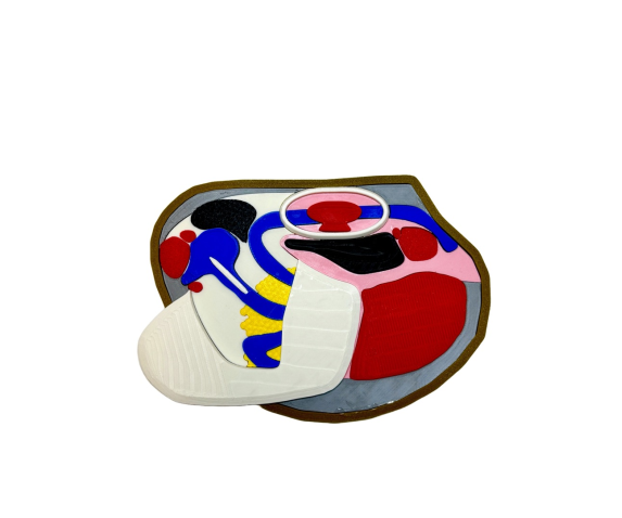 Обʼємна модель. Беззубка