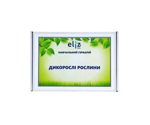 Гербарій «Дикорослі рослини»