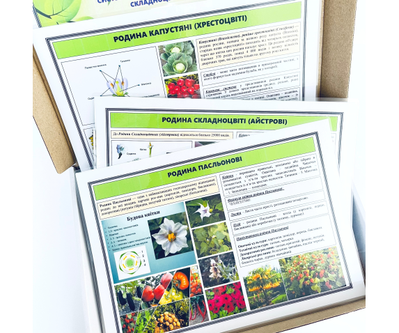 Гербарій «Систематика рослин. Родина Пасльонові. Хрестоцвіті. Складноцвіті»