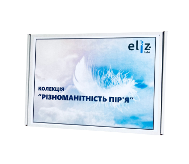 Колекція «Різноманітність пір’я»