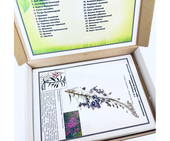 Гербарій «Рослинні співтовариства»