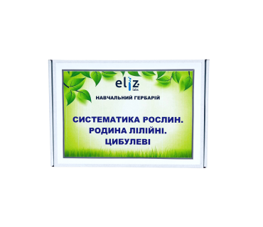 Гербарій «Лілійні та Цибулеві»