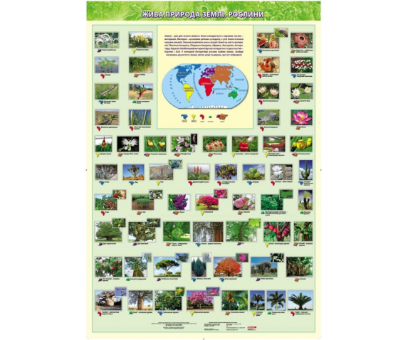 Комплект плакатів: "Жива природа"
