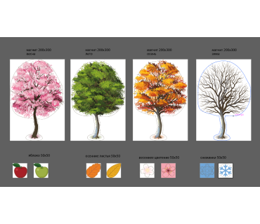 Набір моделей на магнітній основі (природничо...