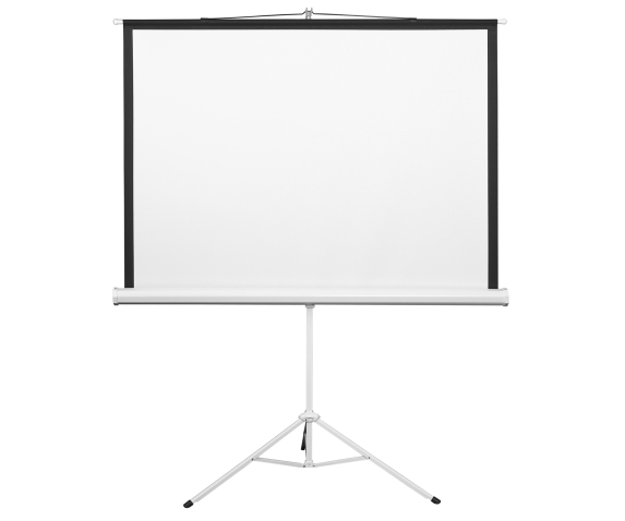 Екран для проекції на тринозі 100" (2.0*1.5 м)