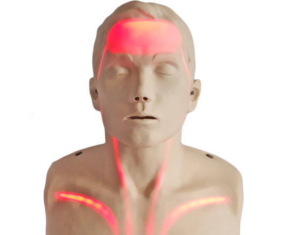 Навчальний манекен серцево-легеневої реанімації з кровообігом