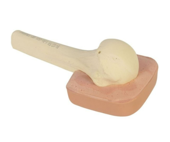 Набір для навчання внутрішньокісткового доступу ТИП 3